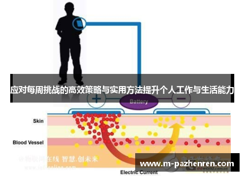 应对每周挑战的高效策略与实用方法提升个人工作与生活能力