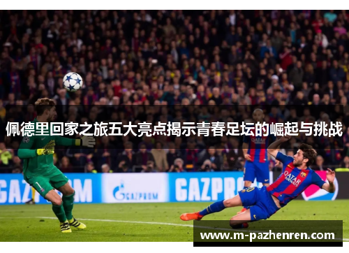 佩德里回家之旅五大亮点揭示青春足坛的崛起与挑战
