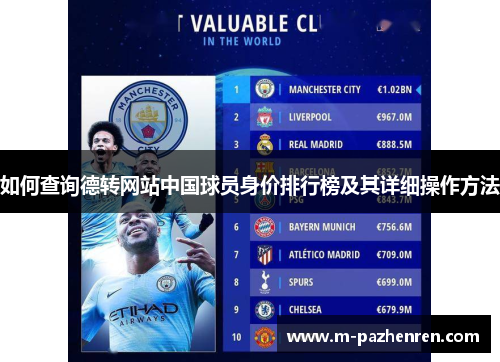 如何查询德转网站中国球员身价排行榜及其详细操作方法