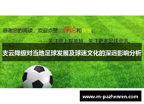 支云降级对当地足球发展及球迷文化的深远影响分析