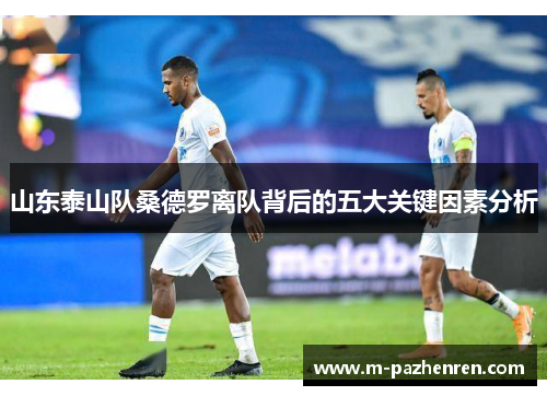 山东泰山队桑德罗离队背后的五大关键因素分析