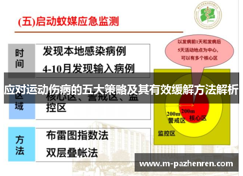应对运动伤病的五大策略及其有效缓解方法解析