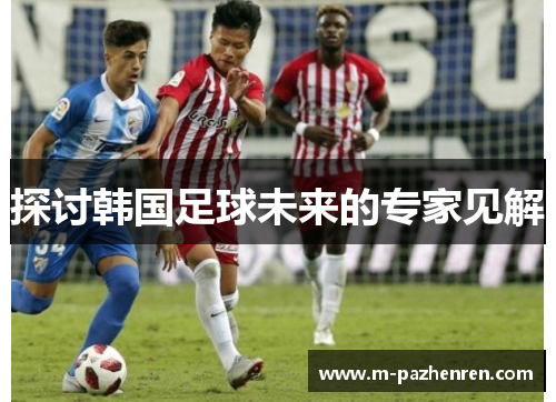 探讨韩国足球未来的专家见解