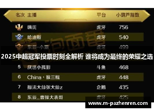 2025中超冠军投票时刻全解析 谁将成为最终的荣耀之选