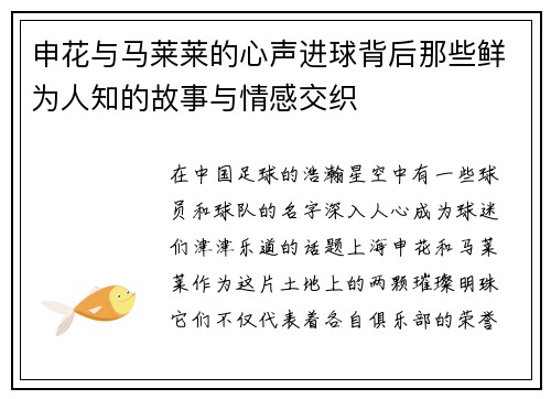申花与马莱莱的心声进球背后那些鲜为人知的故事与情感交织