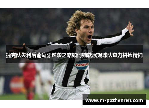 捷克队失利后葡萄牙逆袭之路如何铺就展现球队奋力拼搏精神