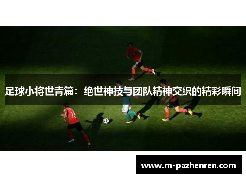 足球小将世青篇：绝世神技与团队精神交织的精彩瞬间