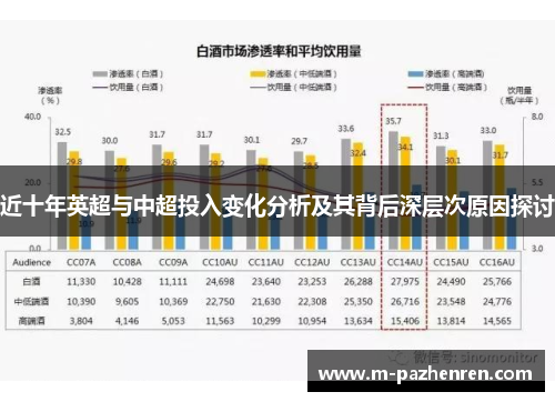 近十年英超与中超投入变化分析及其背后深层次原因探讨