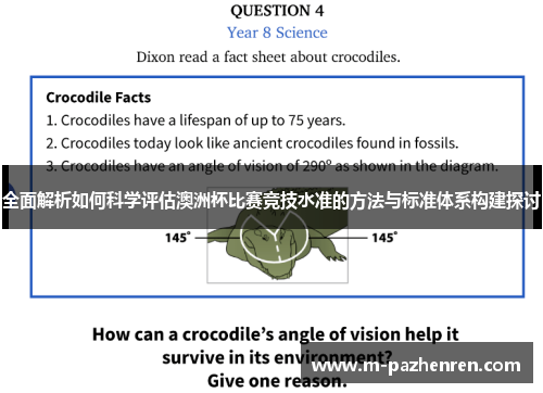 全面解析如何科学评估澳洲杯比赛竞技水准的方法与标准体系构建探讨