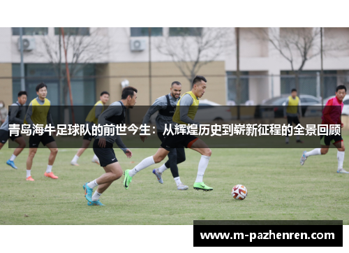 青岛海牛足球队的前世今生：从辉煌历史到崭新征程的全景回顾