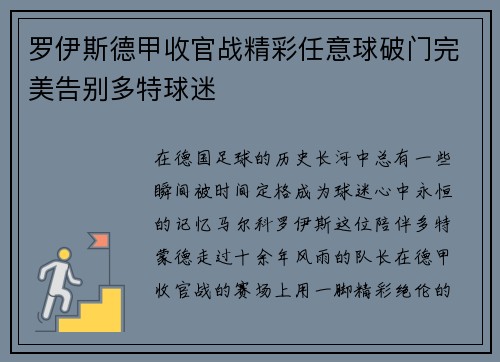 罗伊斯德甲收官战精彩任意球破门完美告别多特球迷 罗伊斯德甲收官战精彩任意球破门完美告别多特球迷