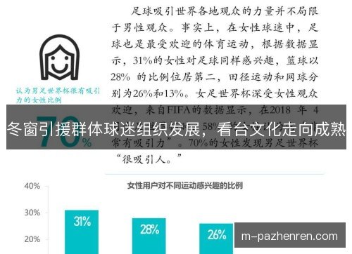 冬窗引援群体球迷组织发展，看台文化走向成熟